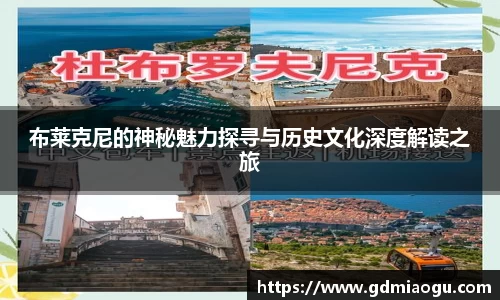 乐天使体育官网