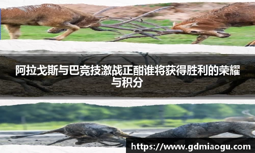 FUN乐天使官方网站