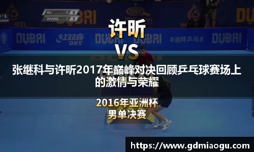 张继科与许昕2017年巅峰对决回顾乒乓球赛场上的激情与荣耀