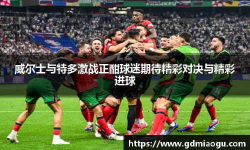 威尔士与特多激战正酣球迷期待精彩对决与精彩进球