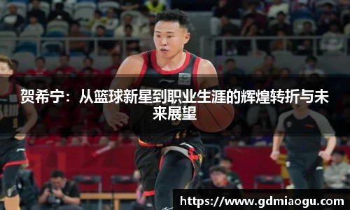 贺希宁：从篮球新星到职业生涯的辉煌转折与未来展望