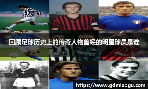 伟德国际victor1946官网